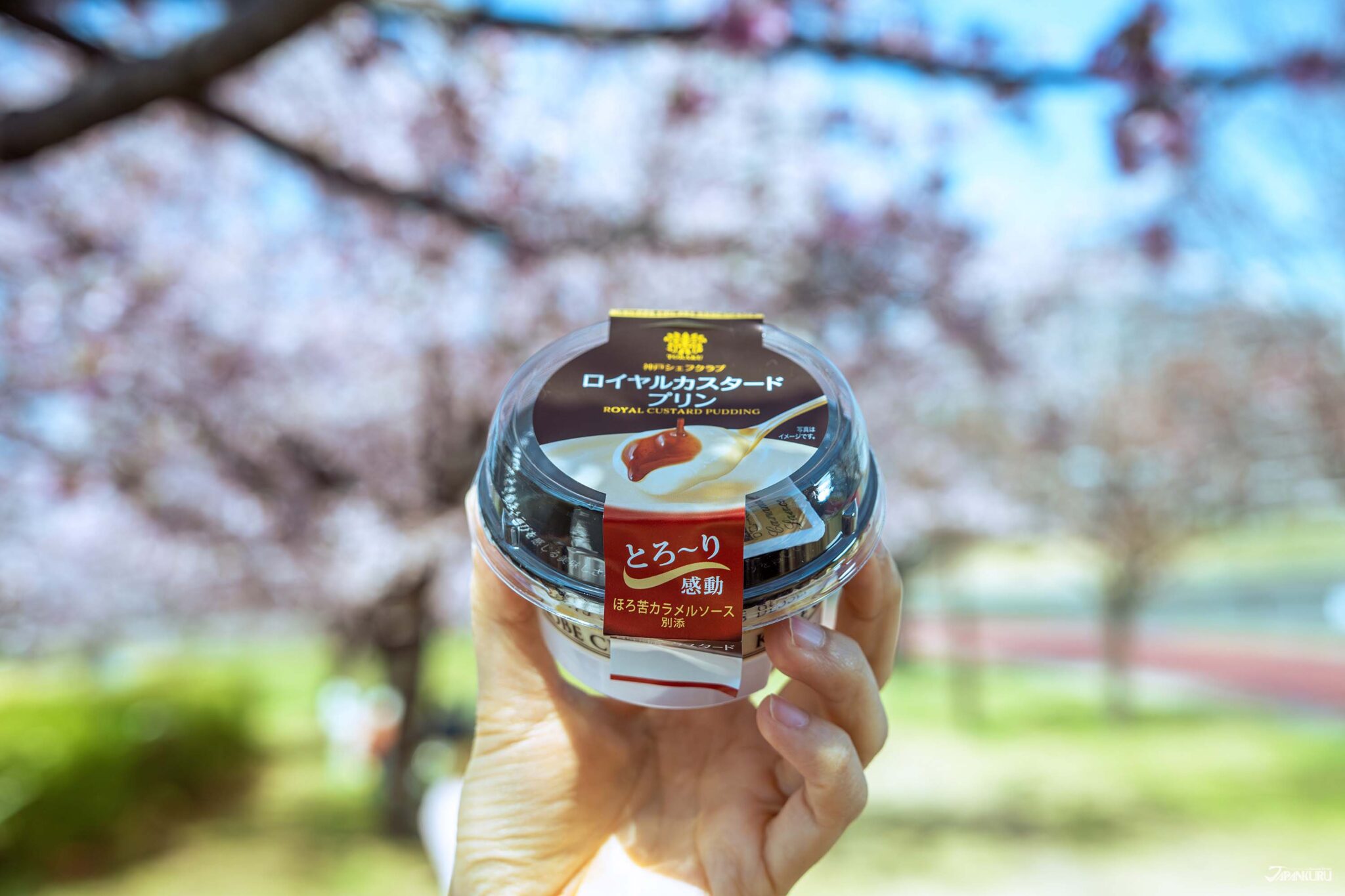 10 Best Japanese Pudding Picks | Try Authentic Pudding in Japan