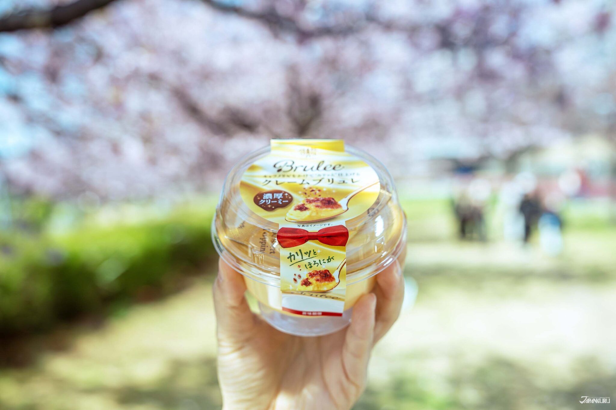 10 Best Japanese Pudding Picks | Try Authentic Pudding in Japan