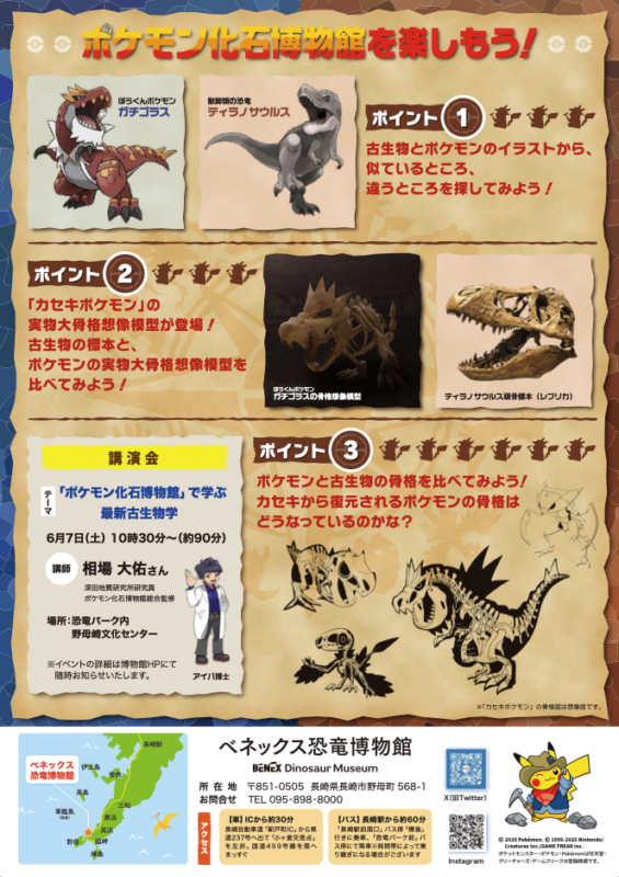 pokemon ball with cards Buried Fossil (47/144) [Skyridge] main image 0