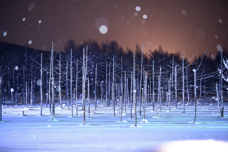 ที่เที่ยวฮอกไกโด