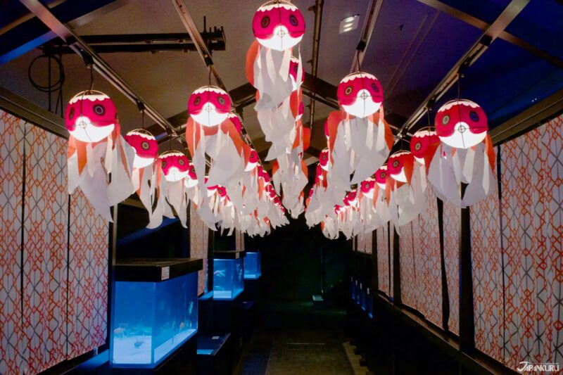 summer events at Sumida Aquarium in Tokyo, Japan