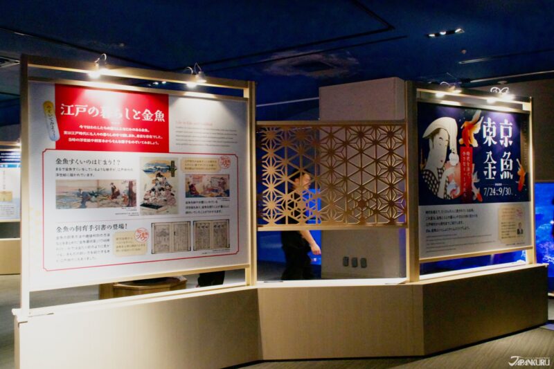 summer events at Sumida Aquarium in Tokyo, Japan