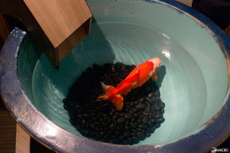 summer events at Sumida Aquarium in Tokyo, Japan