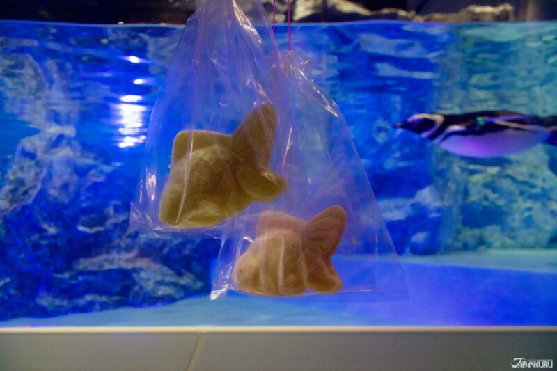 summer event food at Sumida Aquarium in Tokyo, Japan