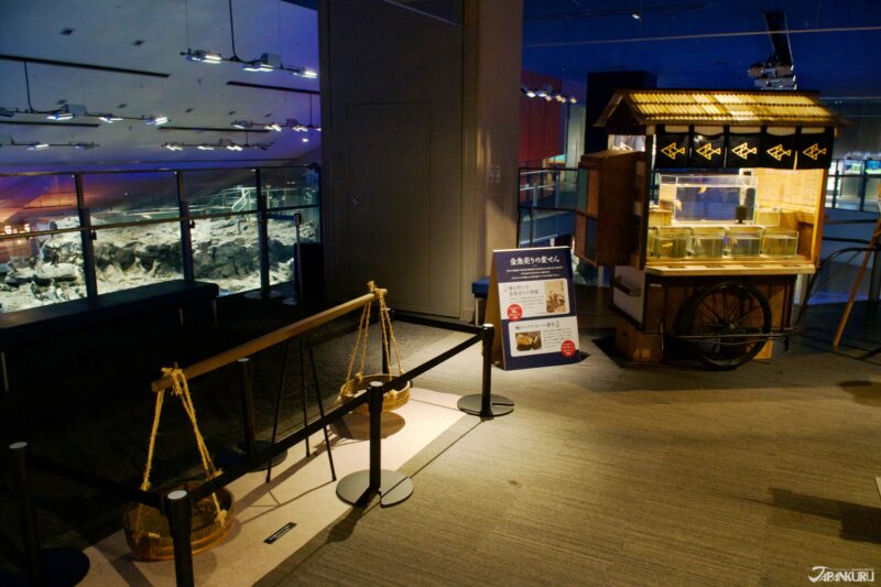 summer events at Sumida Aquarium in Tokyo, Japan