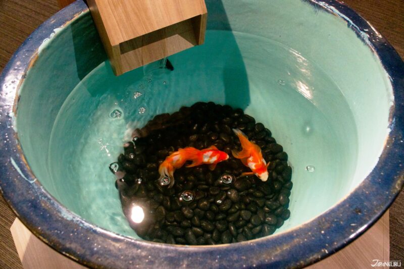 summer events at Sumida Aquarium in Tokyo, Japan