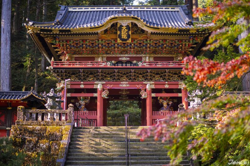 นิกโก้ โทจิกิ