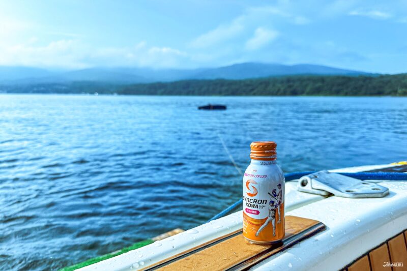 興和SYNCRON KOWA系列 大谷翔平