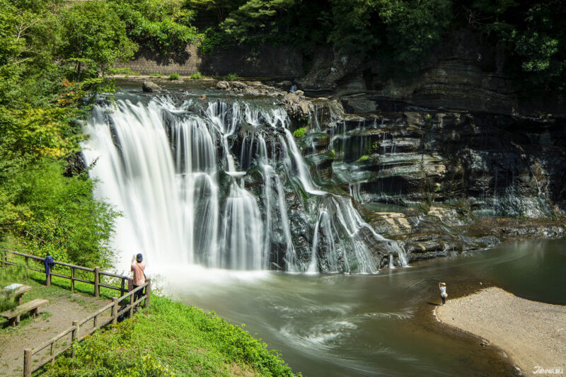 2025 초복·중복·말복과 일본 우시노히 시즌, 도치기 여름 풍경