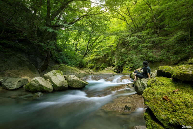 2025 초복·중복·말복과 일본 우시노히 시즌, 도치기 여름 풍경