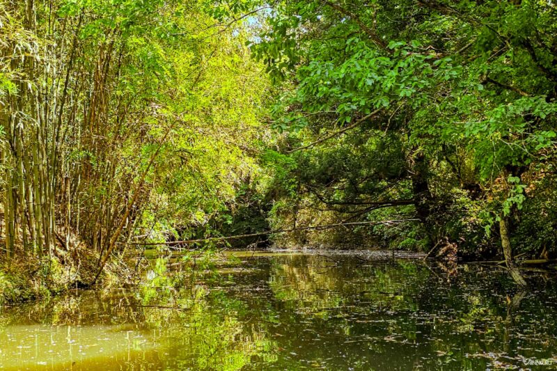 카메야마호 낚시 명소 풍경