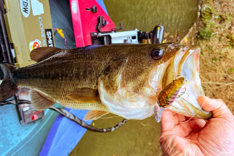 카메야마호 낚시 명소 풍경