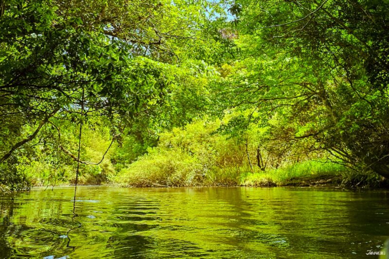 카메야마호 낚시 명소 풍경