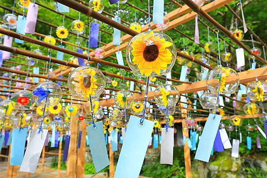 เทศกาลกระดิ่งลมวัดโชจุอิน