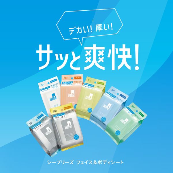 씨브리즈 쿨링 시트 향 라인업 제품 이미지